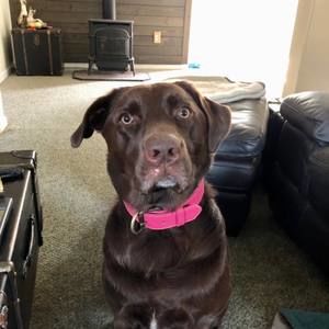 Meet your Posher, Ruby